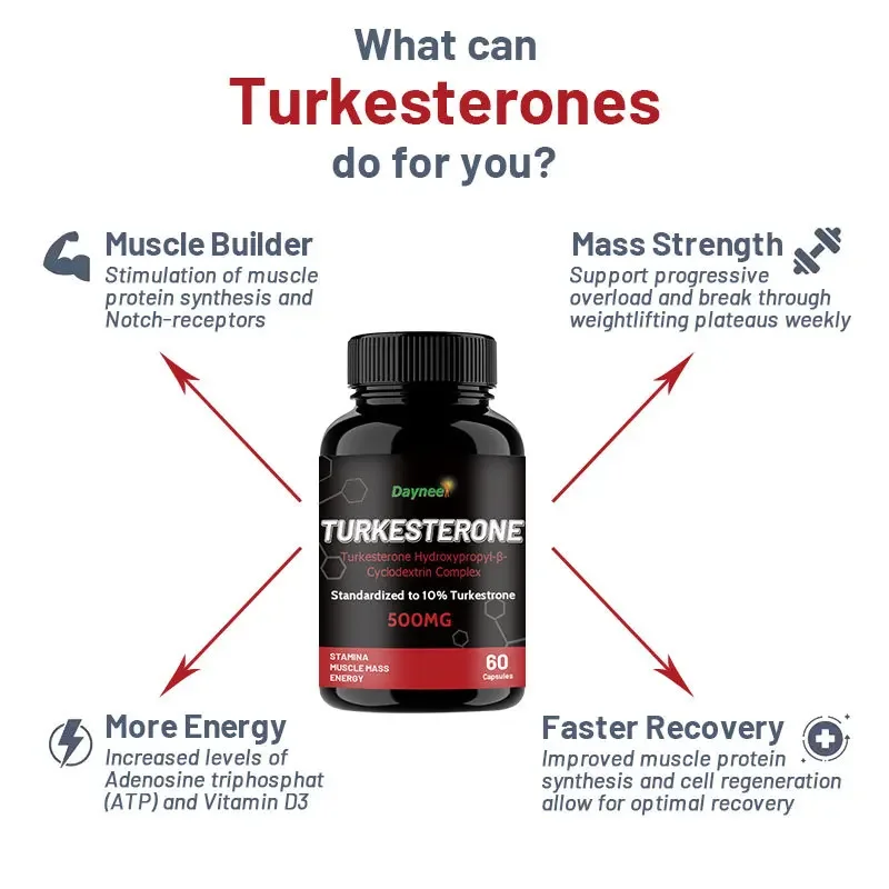 2 Bottle 120 Pills Turkesterone Capsules 500mg Maintain energy levels