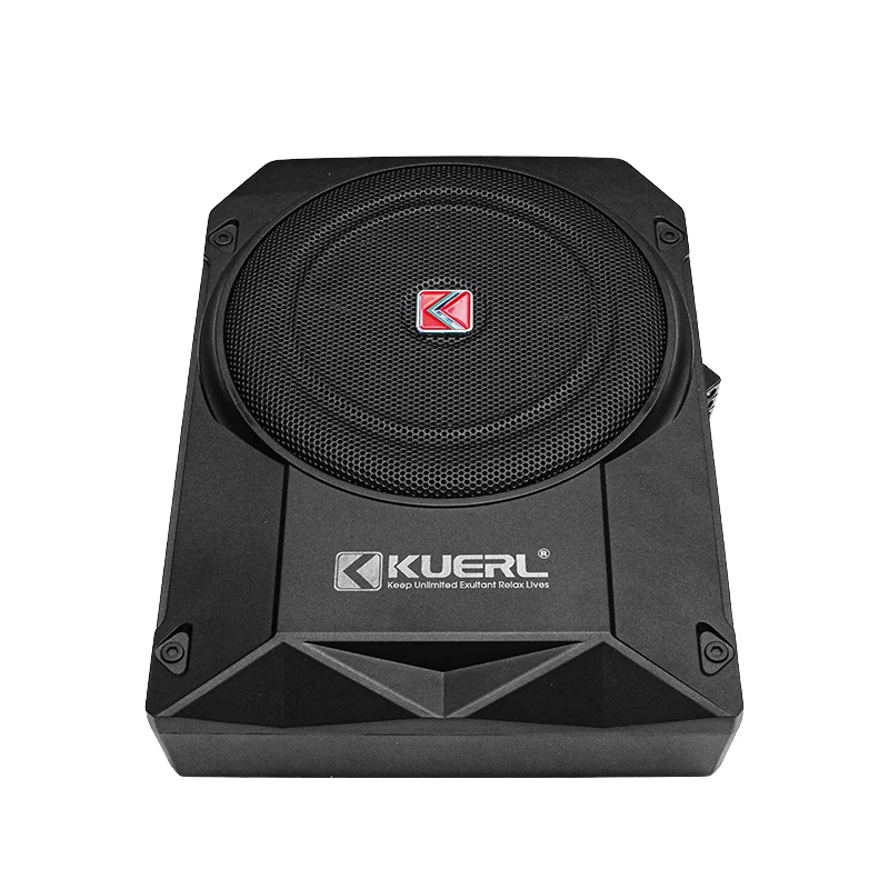 

800W Underseat Car Subwoofer New Arrival 10 Inch Slim Active Car Audio Subwoofer Dual Coil Aluminium Frame Foam DC 12V