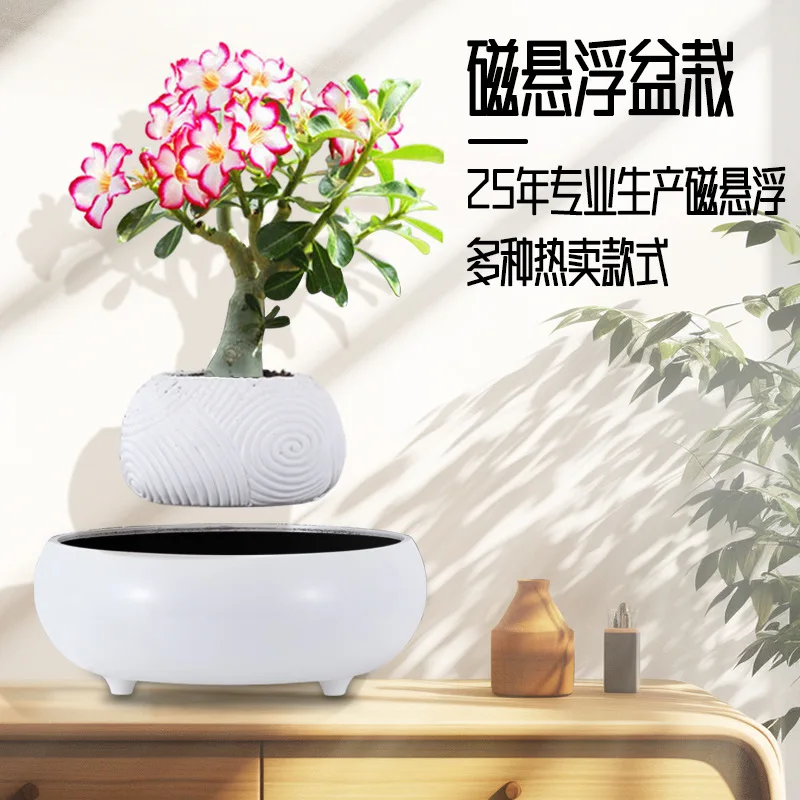 Maglev potted plant flower pot sky living room office desktop creative ornament gift free shipping technology light luxury style