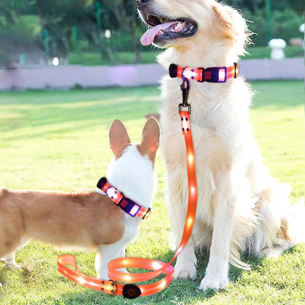 Dog Collar for Breeds Adjustable Dog Collar Usb Rechargeable Led Light Dog Collar Adjustable Length 3 Light Modes for Safety