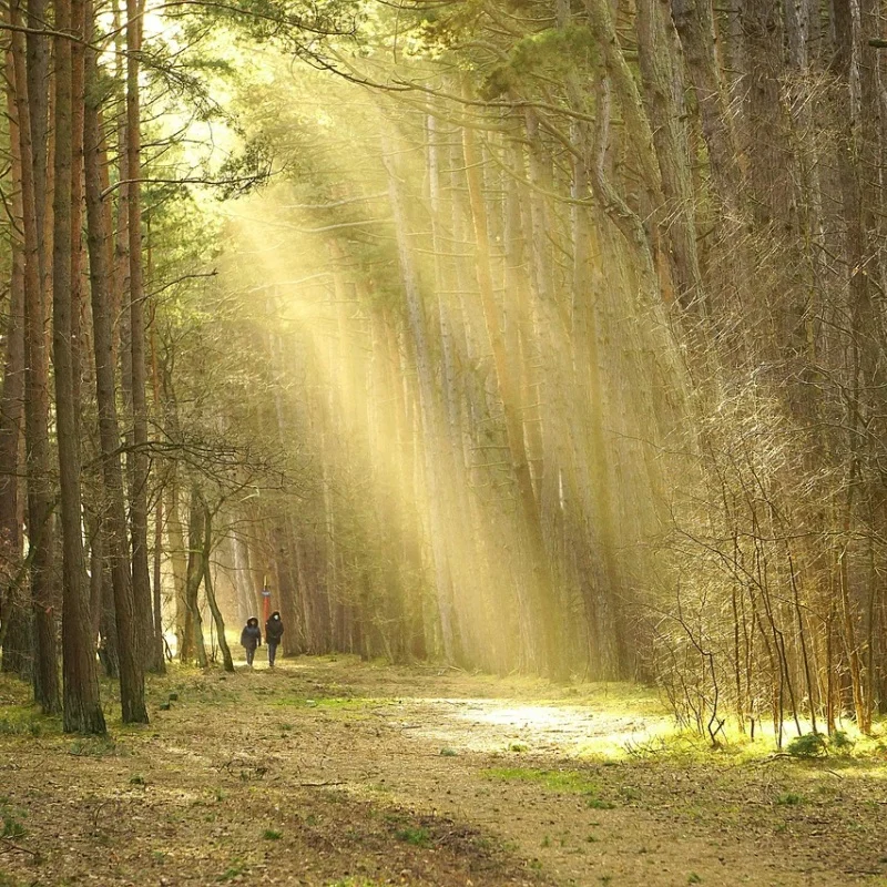 

Metal Upgrade, Modified Frame, For MN Model 1/12 MN128 MN86 G500 RC Car Parts