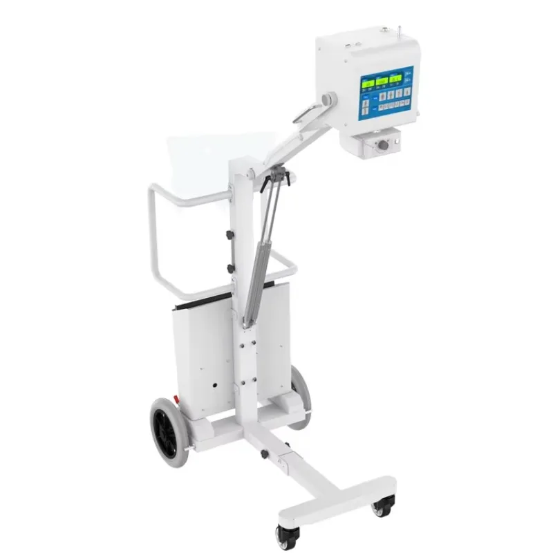 Premium Quality 5KW XM-P100&XM-P100V H.F. Portable X-ray Machine Hospital X Ray Digital Radiography for Human/Animals