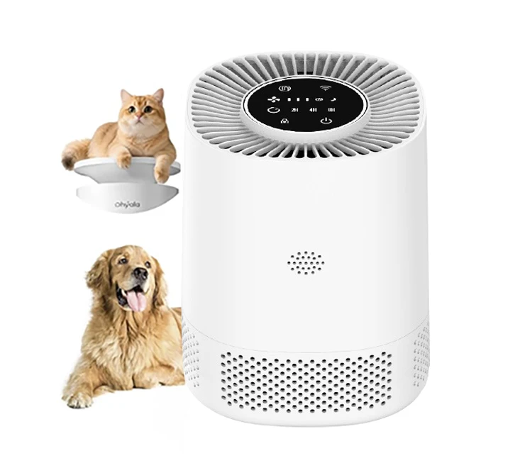 Pet Air Cleaner Indoor HEPA Filter Smart Air Purifier Manufacturer in China