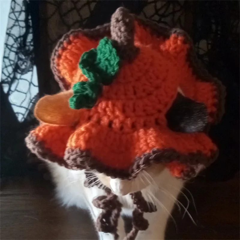 Thanksgiving Day pumpkin pattern style For pet cat hat Handmade crocheted Dog Hats Cat Accessories Pet Dog Birthday Halloween