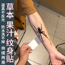 Herbal Spider Tattoo Stickers for Women Man Arm Art Temporary Tattoos Waterproof Fake Tattoo Punk Cobweb Lasting Tattoo Stickers