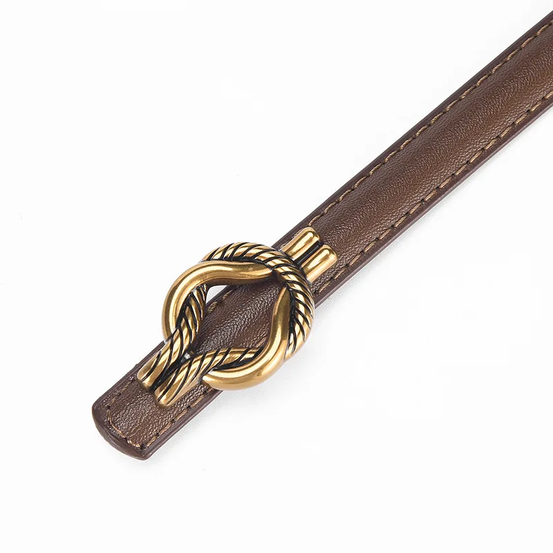 Belt, Women's Decorative Dress, Jeans, Versatile Pants, Ins Belt, Thin Decorative, High End