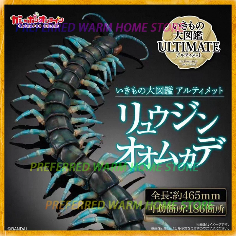 In Stock BANDAI IKIMONO DAIZUKAN ULTIMATE Scolopendra alcyono Movability Model GACHA TOYS Scolopendridae