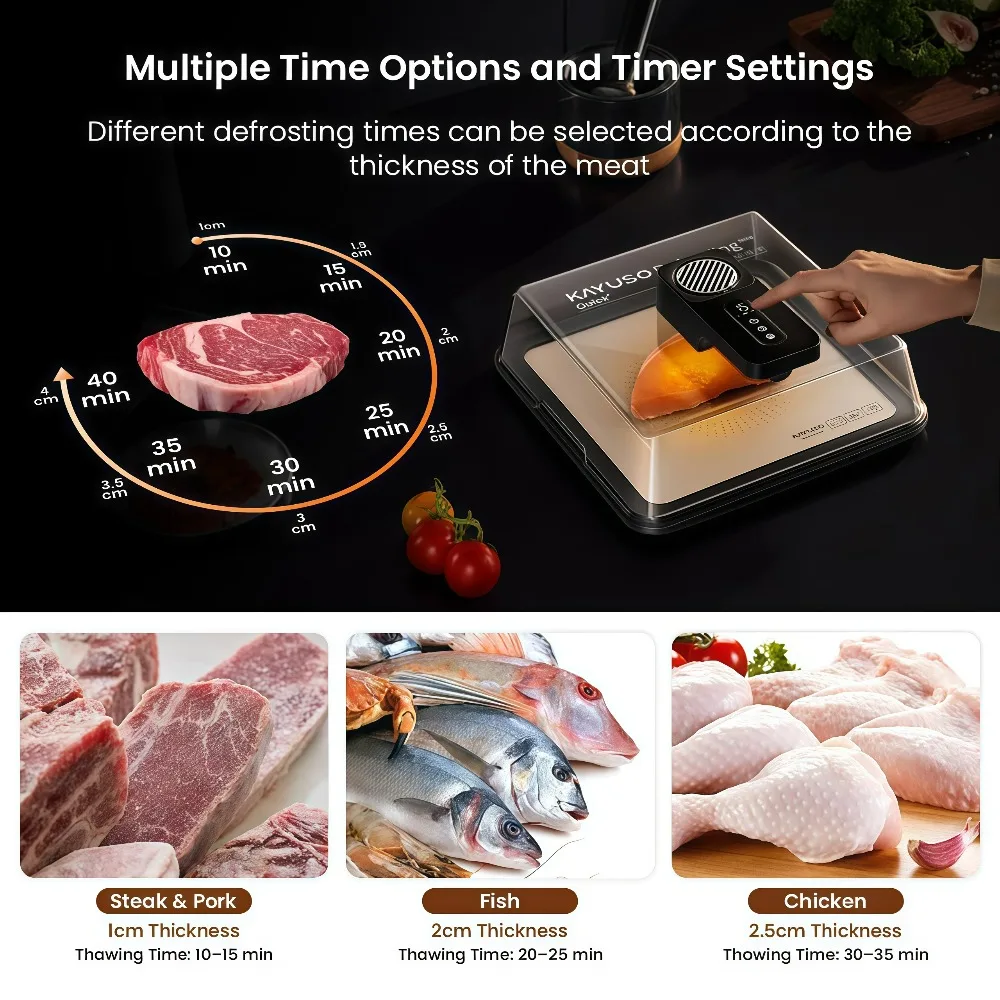 Timable Defrosting Tray for Frozen Meat, BBQ Defrost Tray for Frozen Meat USB Rechargeable Meat Defrosting Box with Lid