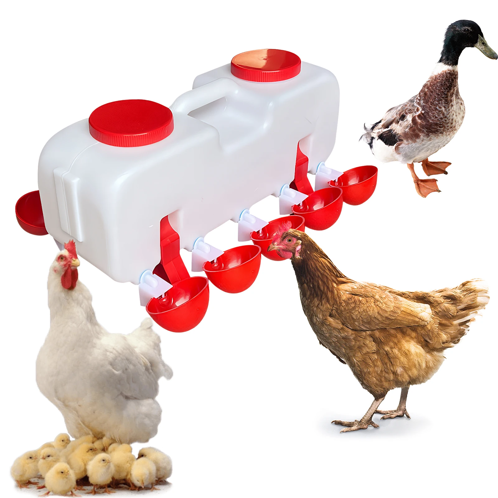 

10KG Self Filling Chicken Waterer Feeder W/10 Drinking Cup Poultry Water Feeder Drinking Dispenser for Chicken Duck Quail Turkey