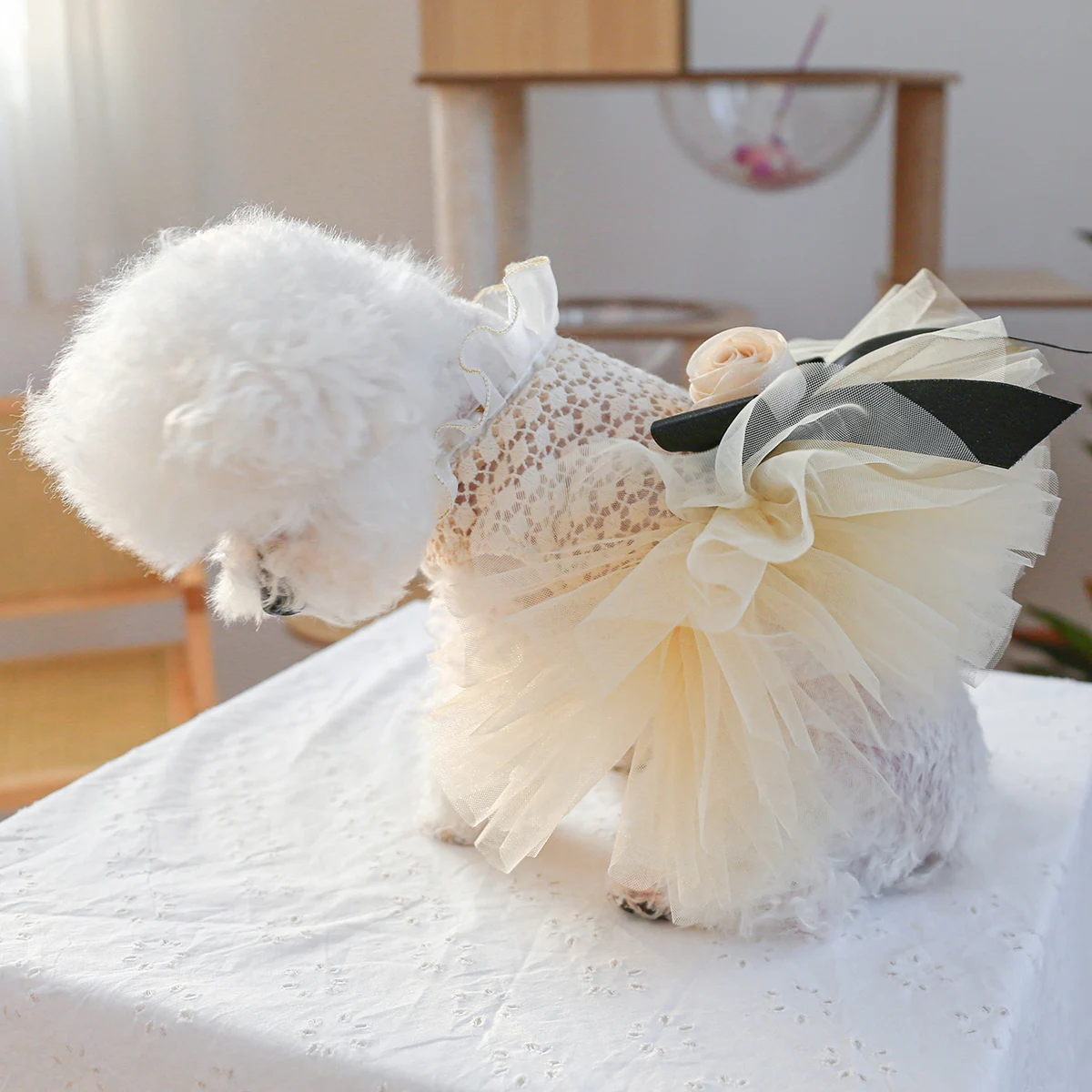 1PC Pet Clothing Dog Summer Hollow Coco Miss Cat Bow Princess Dress Wedding Dress Suitable for Small and Medium sized Dogs