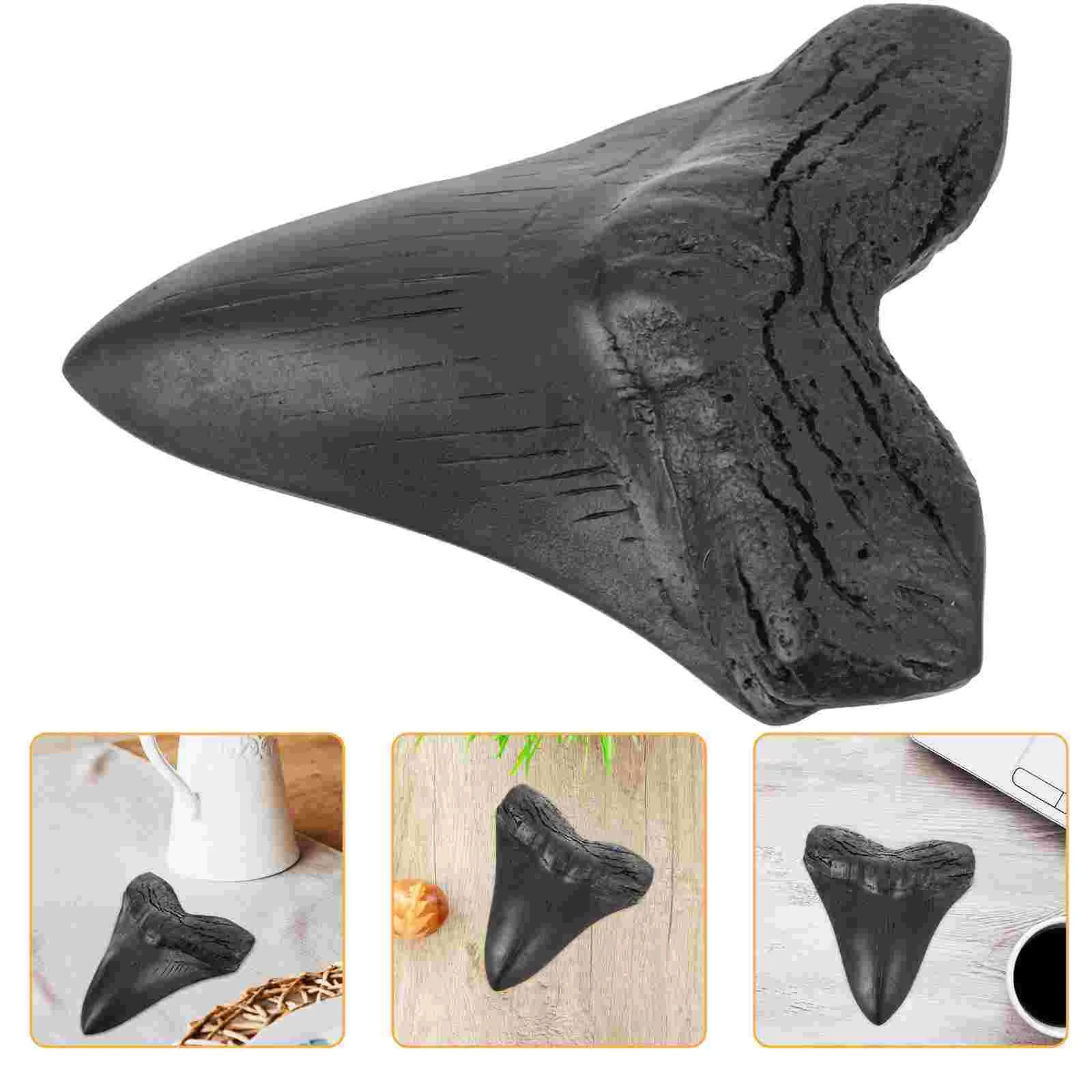 

Megalodon Tooth Teeth Replica Desktop Paleontology Shark Ornament Black Resin Craft Decor Student