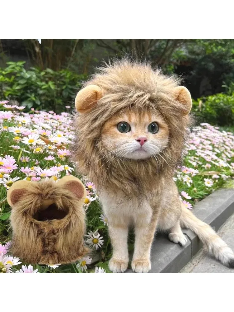 Chapeau de chat mignon, couvre-chef de Lion élastique, automne hiver, chapeau pour animaux de compagnie, chiot, chatons, accessoires de séance Photo de fête, accessoires de décoration pour chat