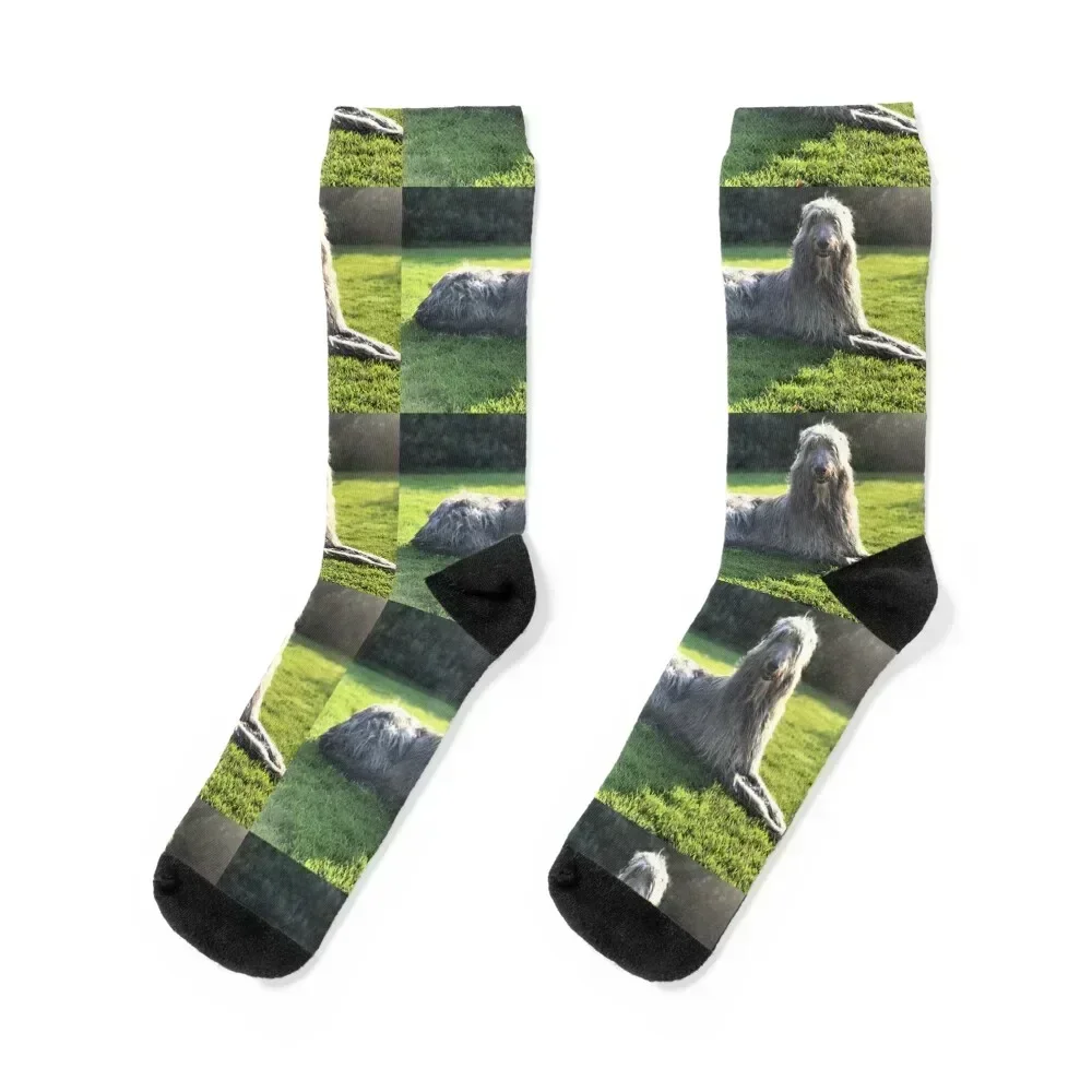 

Deerhound in the Garden Socks FASHION christmass gift moving stockings hip hop Male Socks Women's