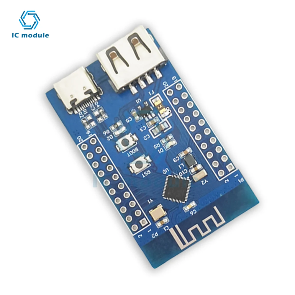 Bluetooth 5.3 RF2.4G microcontrollore Bluetooth a bassa potenza dual USB RISC-V CH582M modulo scheda di sviluppo