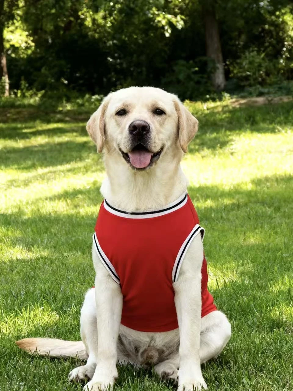 Sommerliches, leichtes, atmungsaktives Hundesport-Tanktop, Stil 23, für mittelgroße und große Rassen, Dobermann, Golden Retriever, Deutscher Schäferhund – Detail 6