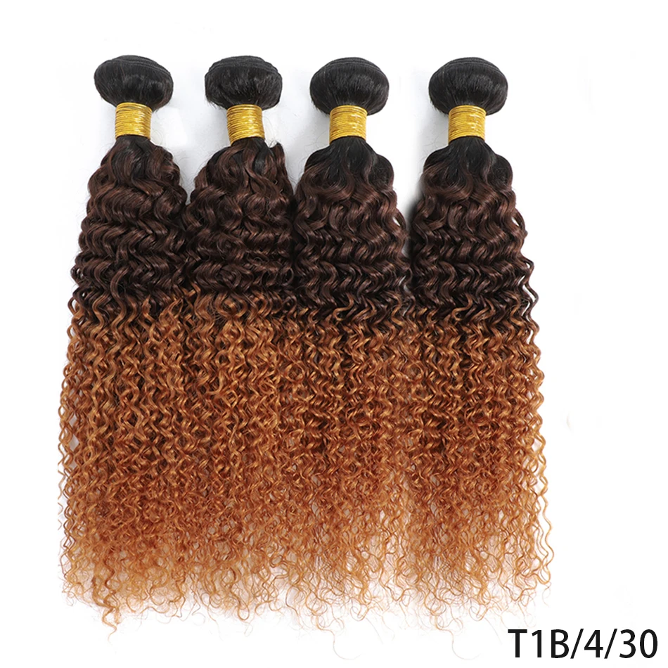 DreamDiana 100% Brazilian Hair Ombre 1B30 Kinky Curly Hair Bundles Grade 10A Ombre Human Hair 3 Bundles Black To Brown Bundles