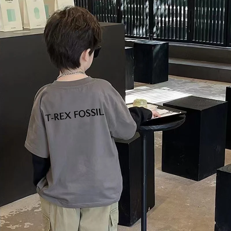 ديناصور الكرتون تنوعا قاعدة طبقة طالب المدرسة الابتدائية طويلة الأكمام تي شيرت أطفال بنين الأطفال تي شيرت الصبي الطفل #4