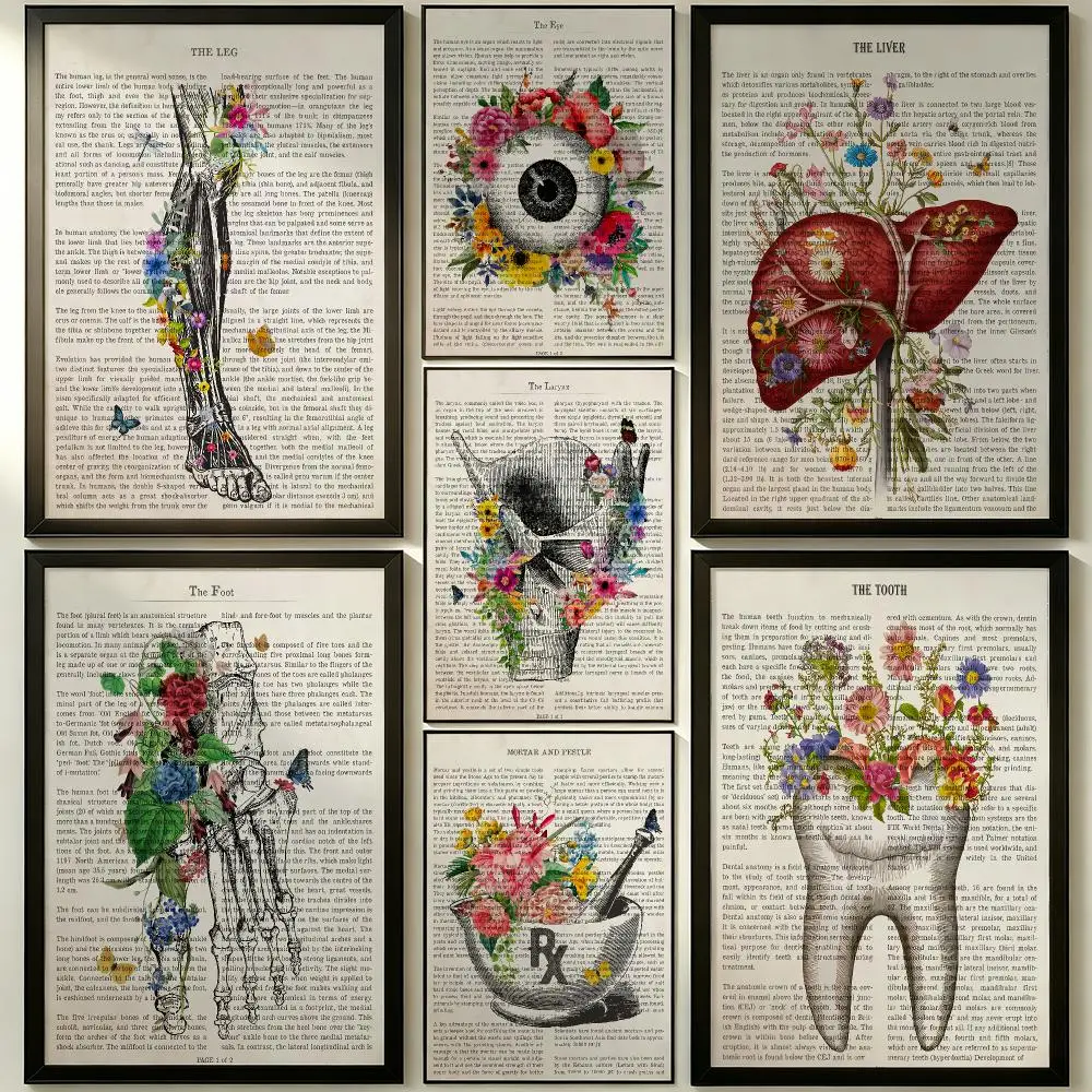 art Flower Organ Anatomy Poster HD Poster Sophisticated Modern Aesthetic Wall Art For Living Room Bedroom Office Cafe Decor