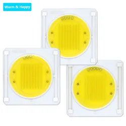 LED COB Chip AC220V 20W 30W 40W LED Ceramic Substrate Diode Bulb Spotlight Down Light Track Light Lighting DIY