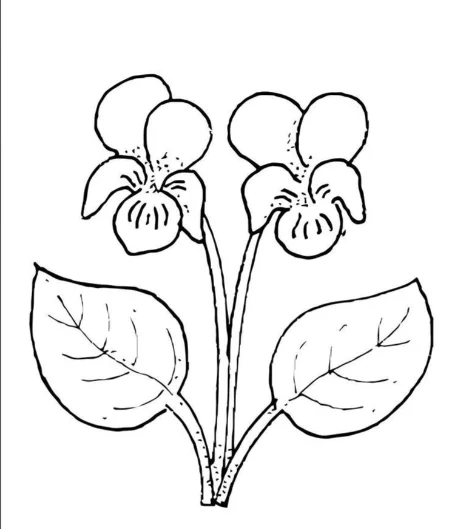 cle-a-cliquet-a-degagement-rapide-etendue-avec-connecteur-de-1-2-pouce-outil-pneumatique-cle-a-douille-d'extension-manuelle-cle-dynamometrique
