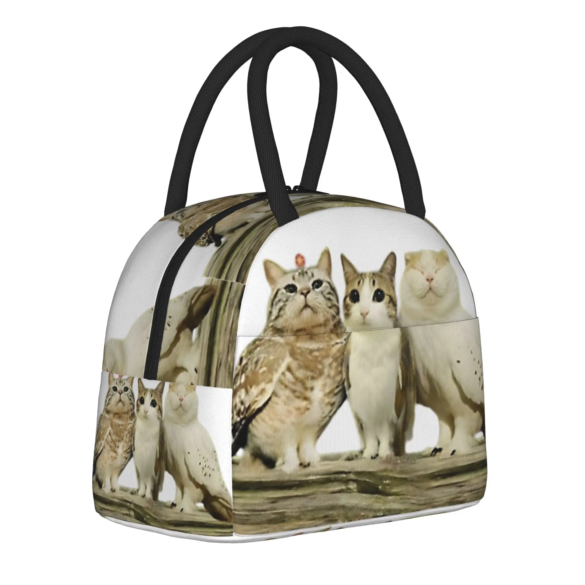 Meowl Cat Owl Funny Thermal Insulated Lunch Bags for Office  Portable Bento Box Men Women Thermal Cooler Lunch Boxes