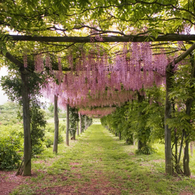 

Колеса с отрицательным смещением 1,9 дюйма + шины 95 мм для гусеничного RS Red Spider 1/10 — подходят для LC80, MJX H12 и т. д. Высокопроизводительный внедорожный комплект