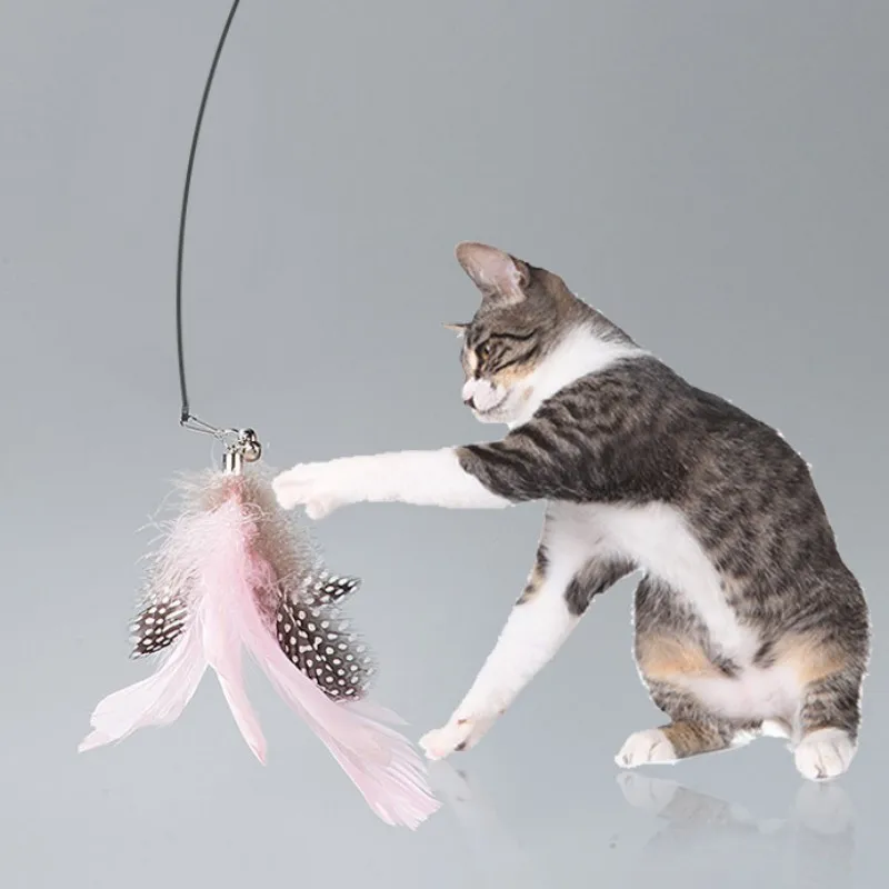 Cat Toy Funny Cat Toys Interactive Feather Toys for Cats Stick Steel Wire Cats Toy with Bell Self-hi Pet Teaser Pet Supplies