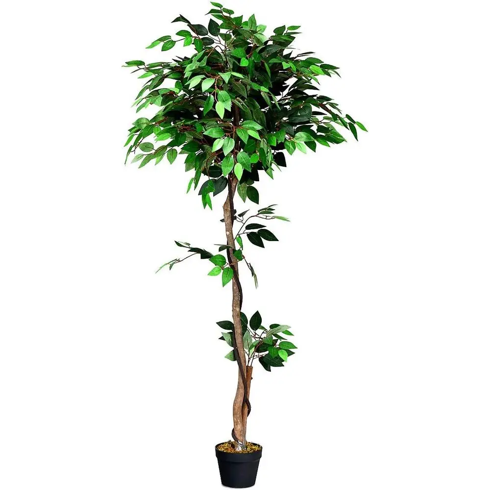 

5.5ft Tall Artificial Potted Palm Tree with Natural Trunk and Green Leaves for Indoor or Outdoor Decoration