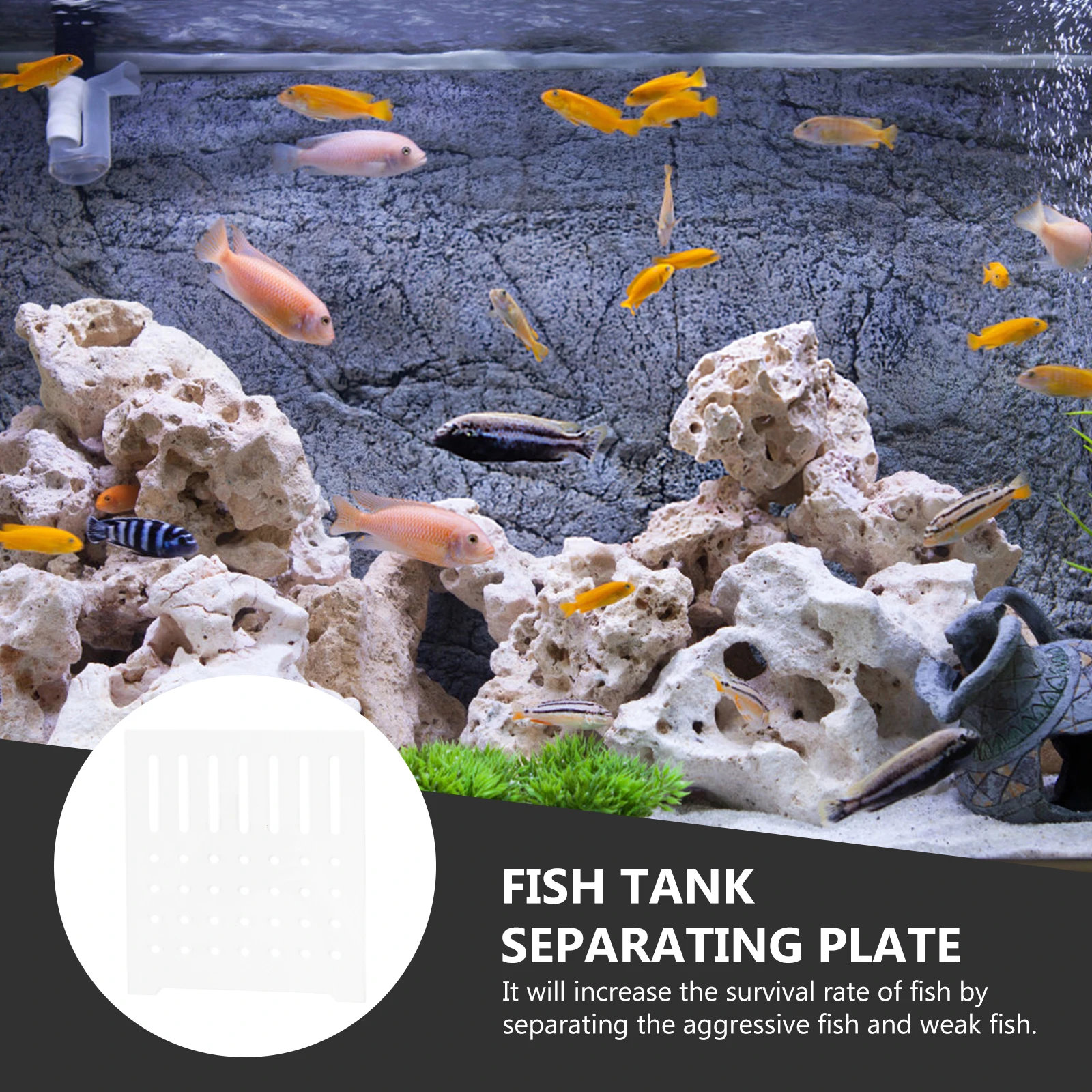 

1 set Acrylic Separation Plate Fish Tank Divider Breeding Aquarium Board Fry Protector Transparent Partition