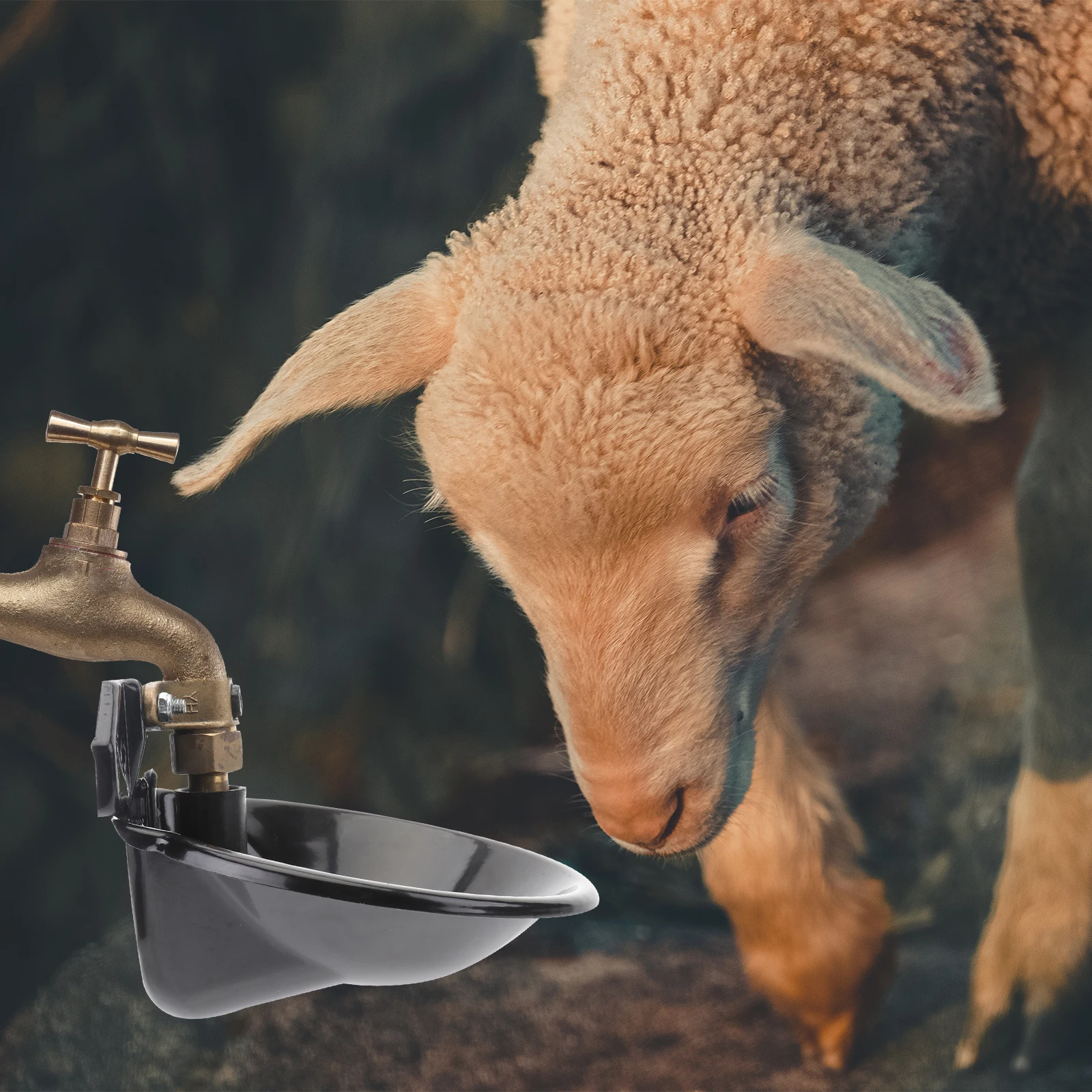 

Sheep Water Bowl Animal Bowls Goat Pig Automatic Drinking Trough Waterer Fountain