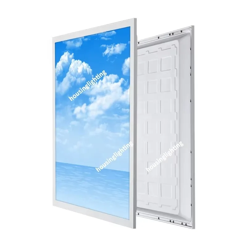 Embedded Sky Panel Light  295x1195mm 595x1195mm CCT Smart LED Blue Sky and White Cloud Panel Light