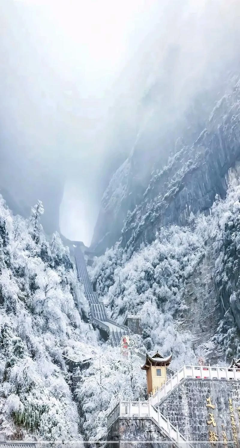 

Прозрачная защитная пленка PPF TPU для фар, зеркал заднего вида и кузова автомобиля, предварительно вырезанная, для Tesla Model 3 Highland 2024