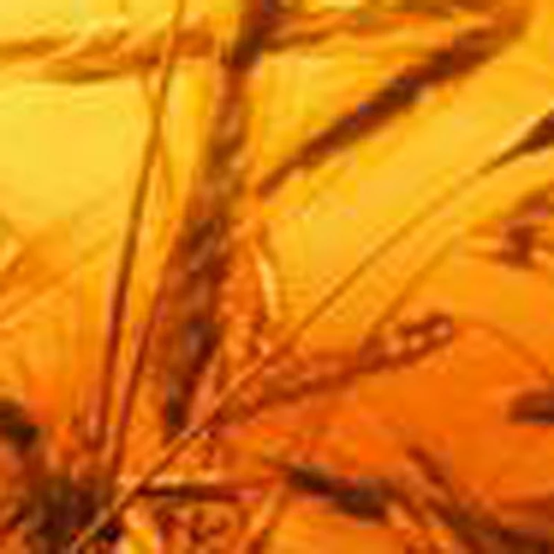 Noodle Cutting Robo…