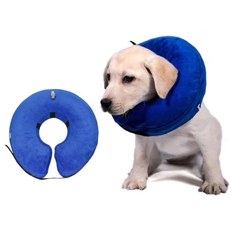 Cat Collar Inflatable - Cartoka