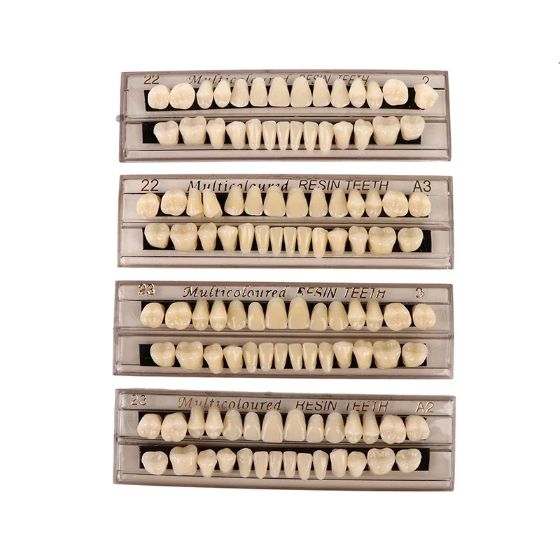 Dental Education Model 28teeth Resin Denture Teeth Comparator Mirror Dentistry Bleaching Dental Plate Research