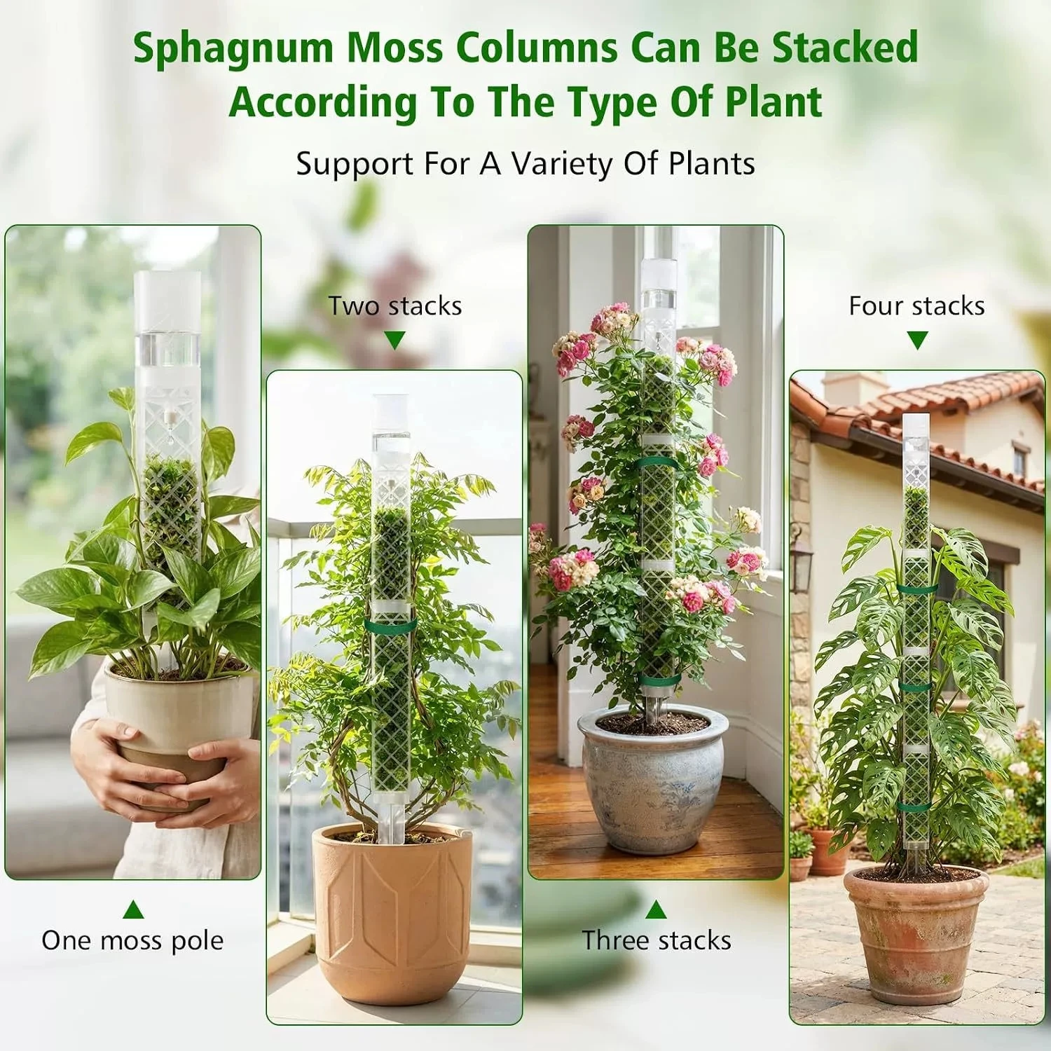 Gardeners Moss Pole Climbing Support for Indoor Plants Monstera Pothos Stackable White Transparent Sticks with Water Drippers