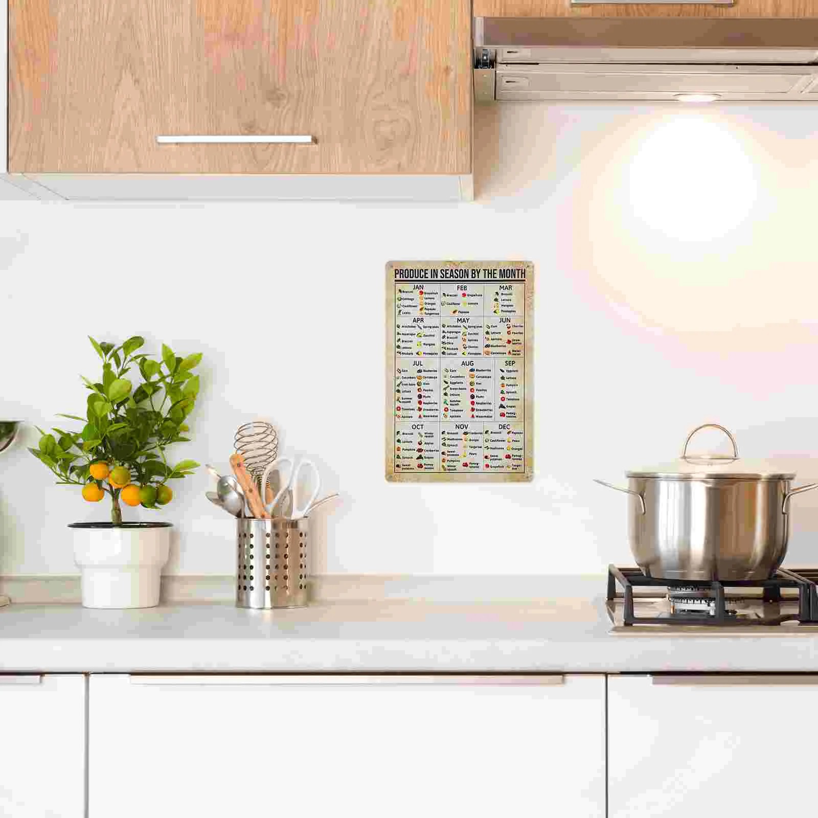 Vintage Plant Infographic Vegetable Fruit Sign Poster Posters Chart Metal for Kitchen