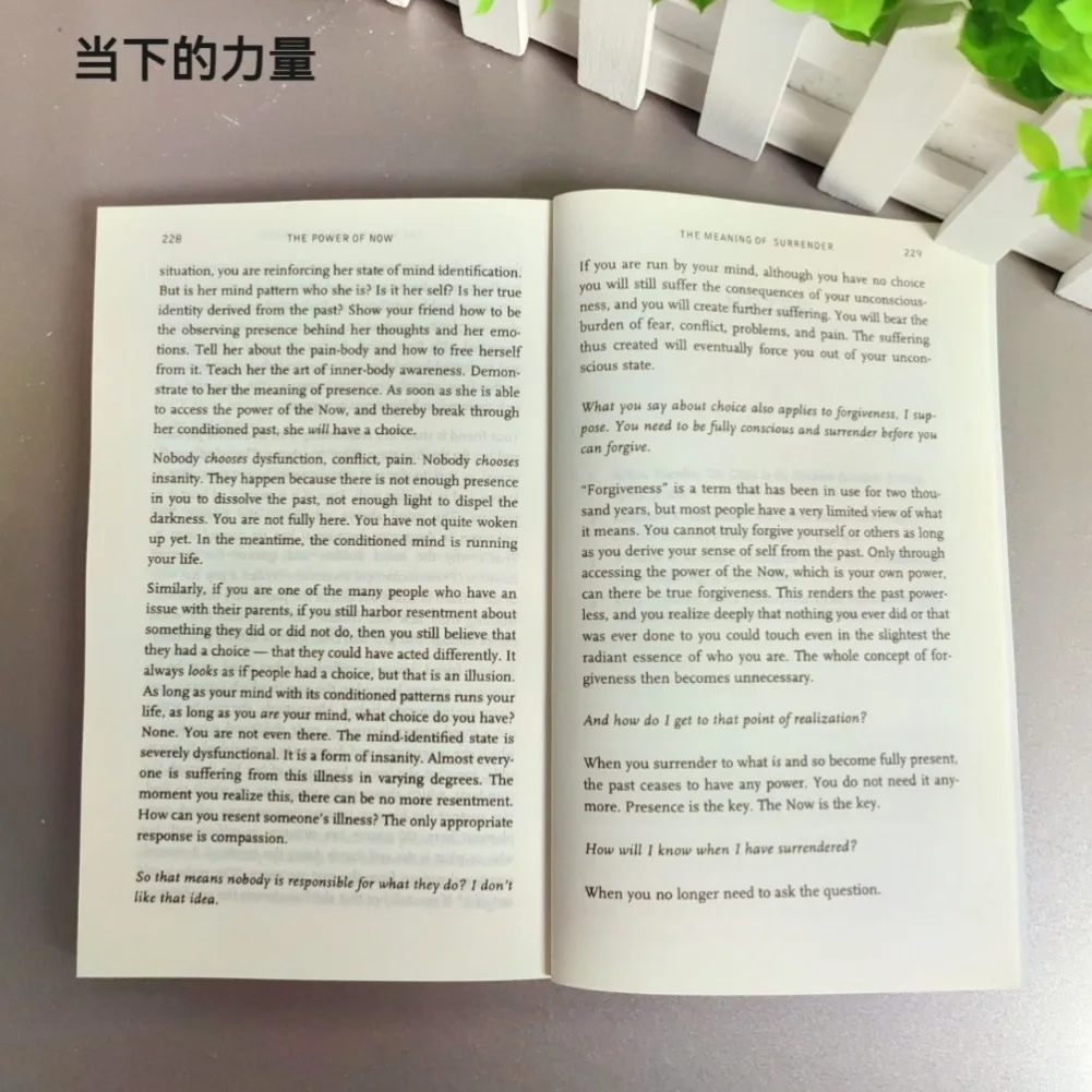 قوة الآن بقلم Eckhart Tolle دليل للتنوير الروحي كتاب اللغة الإنجليزية