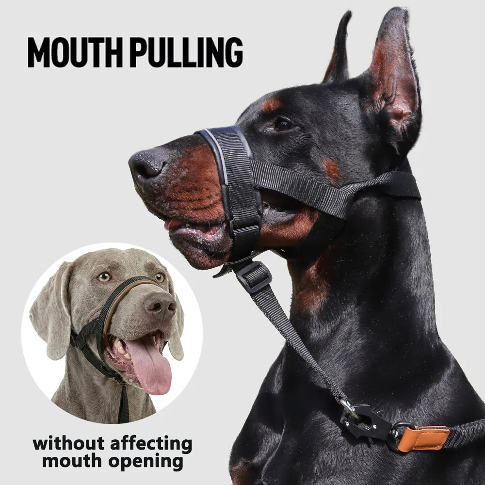 #20 Pet Muzzles Comparison Guide