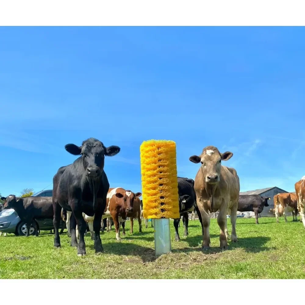 

Mechanical Rotating Cow Body Brush No Power Supply for Cow Massage and Cleaning-Animal Husbandry Equipment