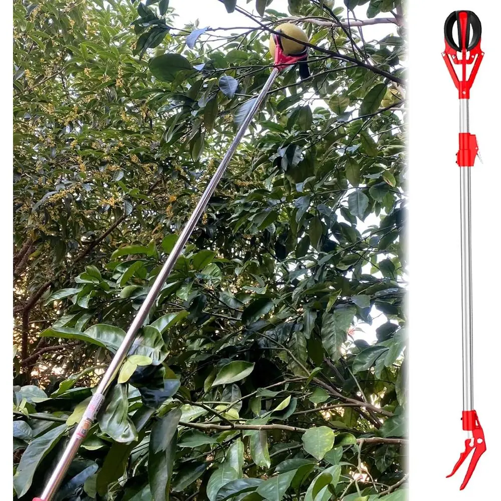 

Телескопическая палка для сбора фруктов с корзиной для лимонов, апельсинов, авокадо и грушей — удлиняется от 5,9 до 9,8 футов