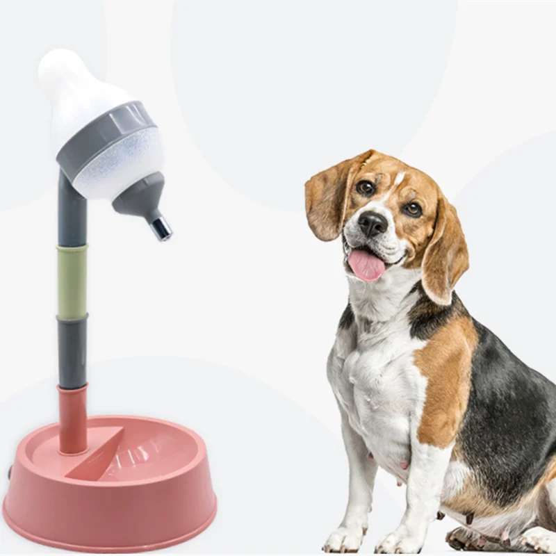 #6 Pet Bowl Stands Comparison Guide