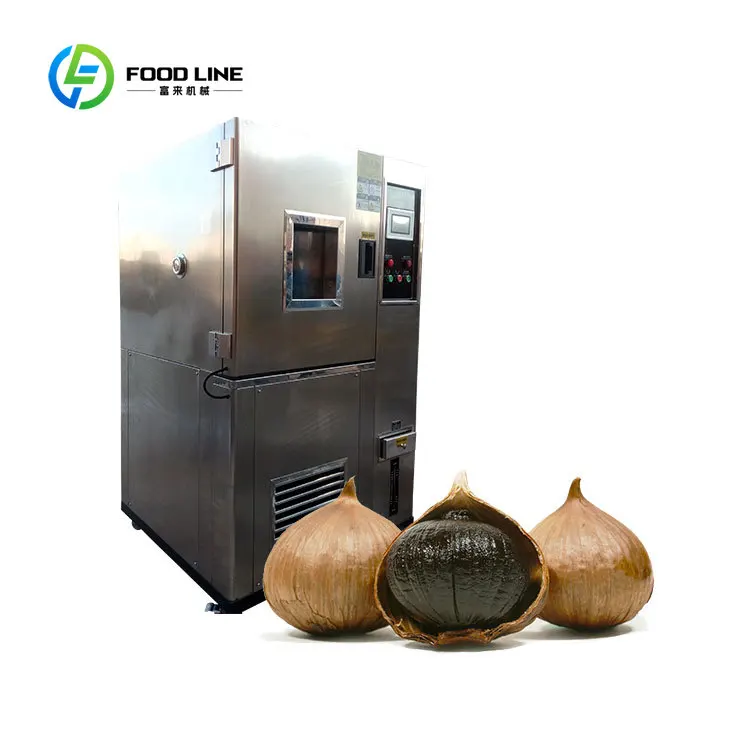 Black Garlic Fermenter for Sale FL Customized Wholesale Fermentation Machine With Competitive Price