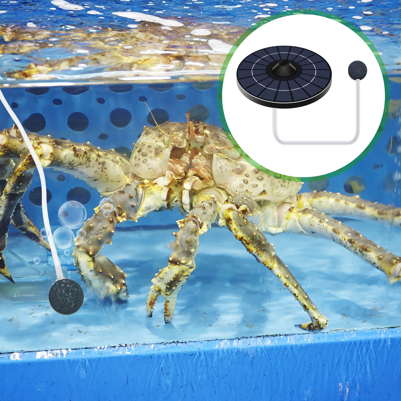 

1 set Floating Oxygen Pump For Hydroponic Plants Indoor Aquariums Solar Pond Aerator Pump Garden Water Feature