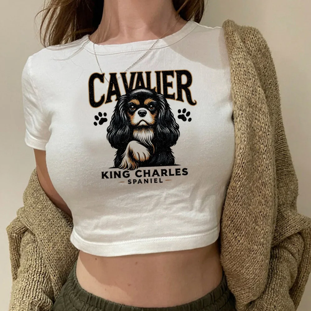 Cavalier King Charles Spaniel Dog streetwear  graphic  crop top Female trashy kawai vintage Kawaii clothes tshirt