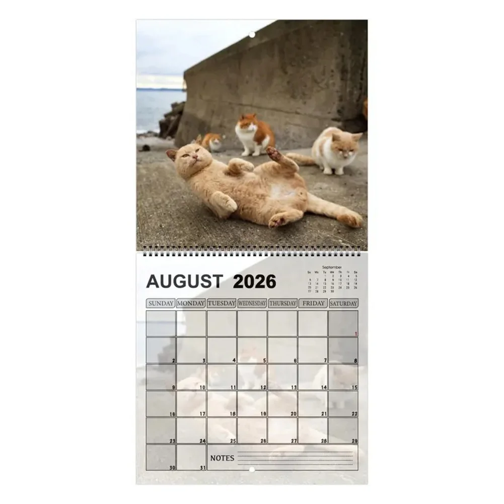 2026 Calendario di testa di gatto Simpatico calendario da parete a tema gatto divertente Decorazioni per la casa accoglienti e coinvolgenti Illustrazioni divertenti per la giunta quotidiana