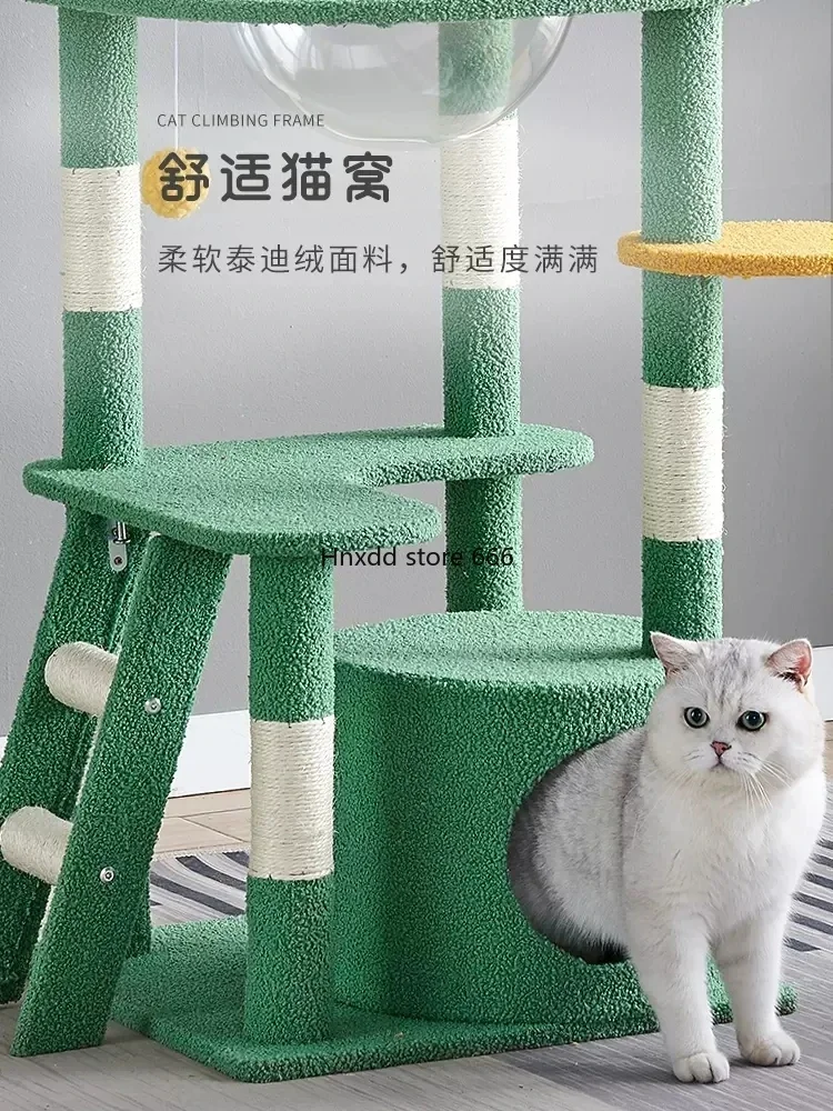 Kattenklimframe Zomercapsule Bezet De Kattenbenodigdheden Van Het Springplatform Niet