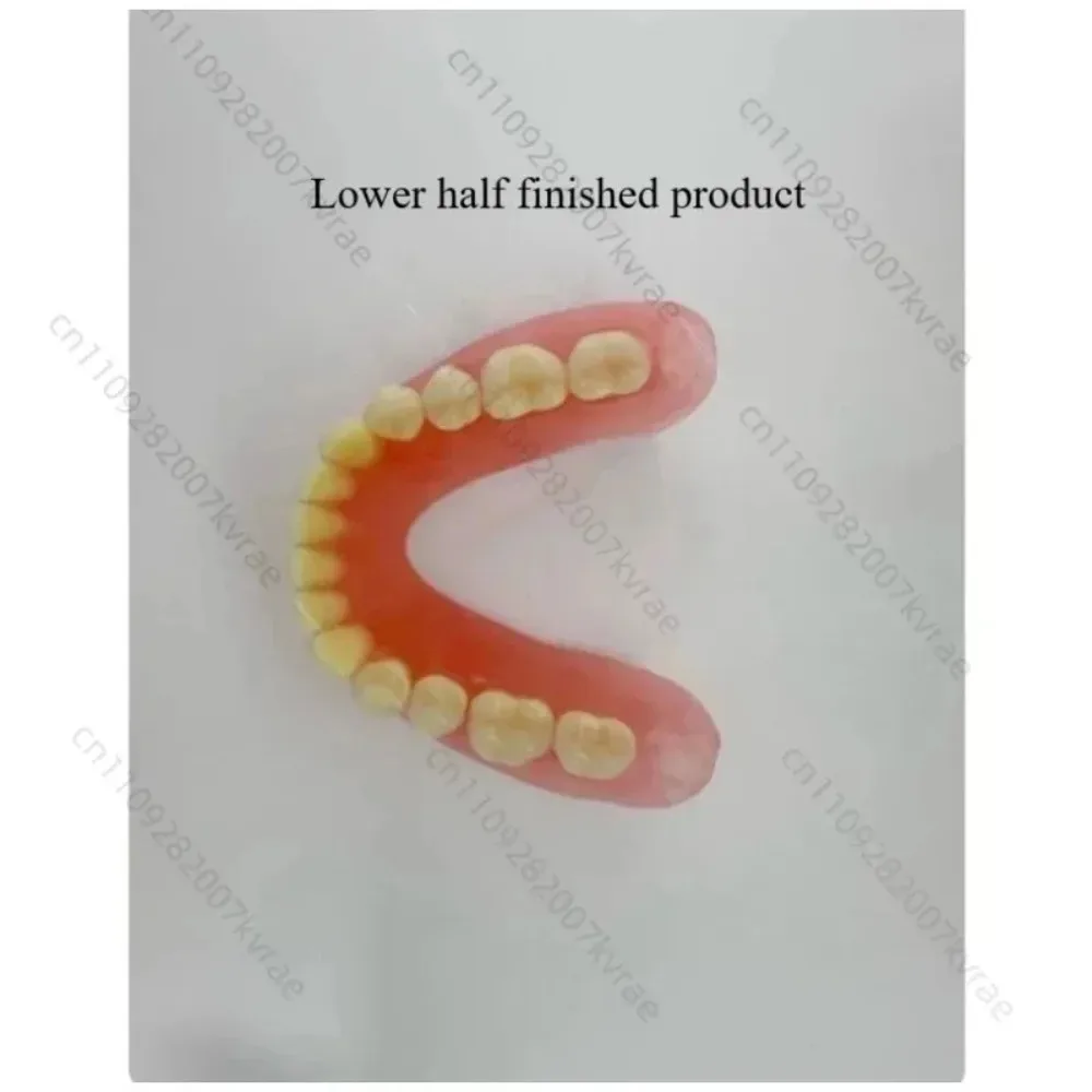 Modelo de Dientes Completos para Adultos Mayores, Suministros de Exhibición, Dentaduras Completas Removibles, Prótesis Dentales, Entrenamiento para Estudiantes de Odontología