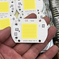 COB Chip LED Lamp 110V 220V 20W 30W 50W Smart IC No Need Driver Lampada LED Bulb Lamp for Flood Light Spotlight DIY Lighting