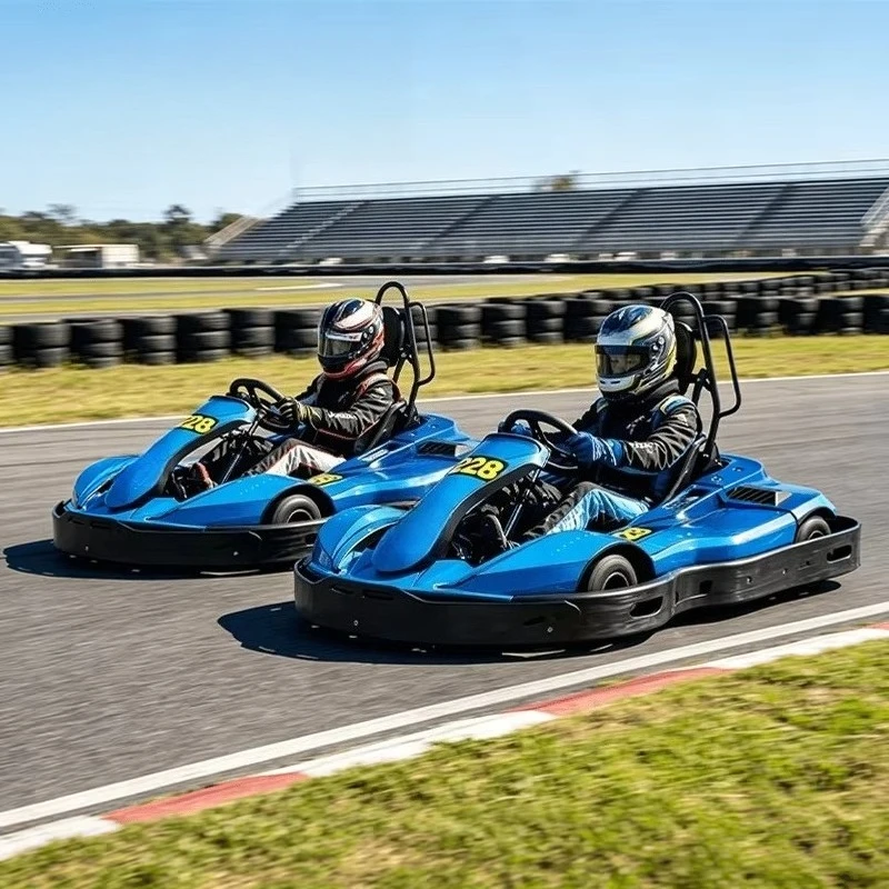 Wholesale Luxury 72V Electric Go Kart for Adults Karting High Speed Racing Karts for Entertainment Center